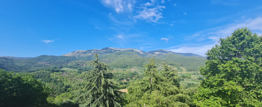 visit bassiano semprevisa
